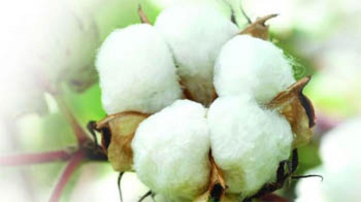 Uniform maximum sale price for cotton seeds